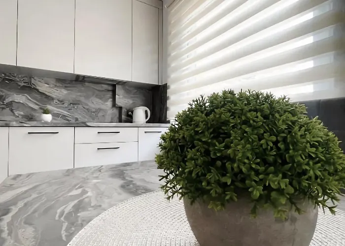 2 Naujakiemio Str. Apartamento